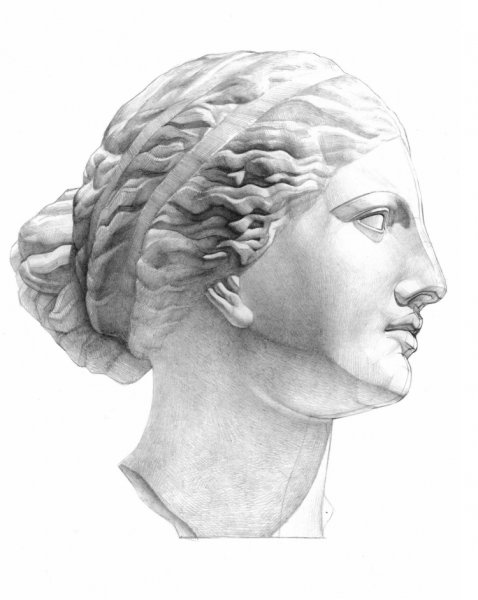 Гипсовая голова Афродиты построение