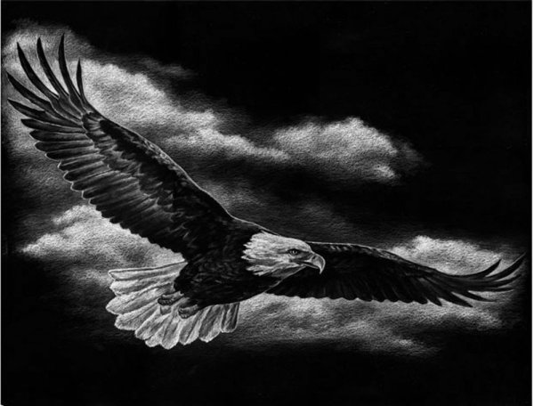 Гравировка парящий Орел