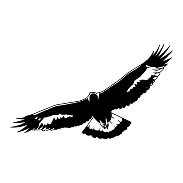 Парящий Орел тату