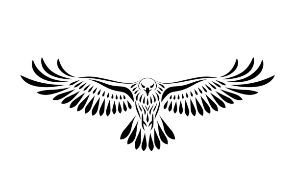 Парящий Орел вектор