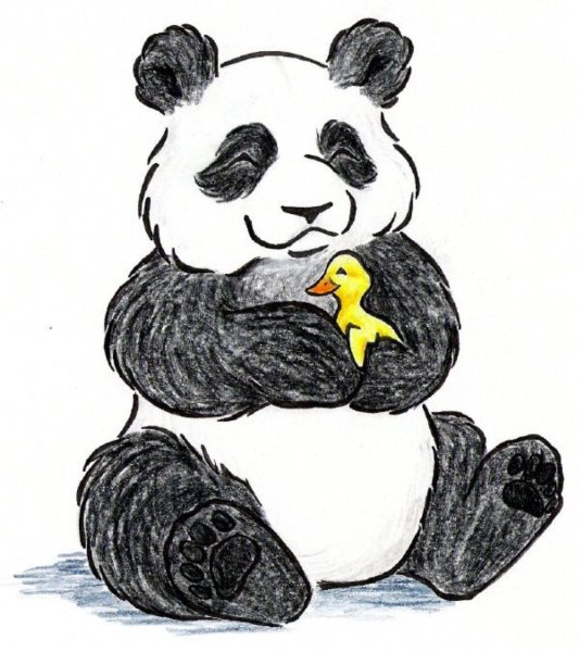 Панда рисунок