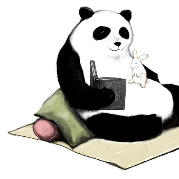 Пандочка с книжкой