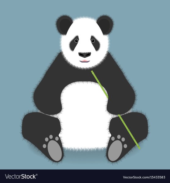 Панда сидит вектор