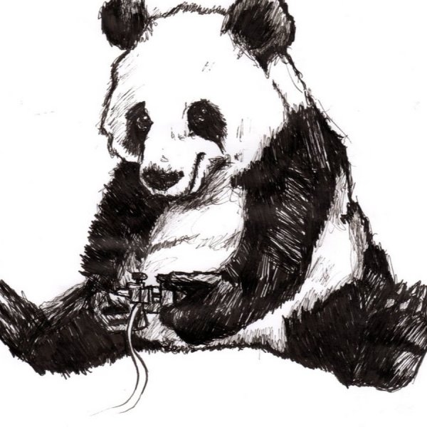 Панда в профиль рисунок