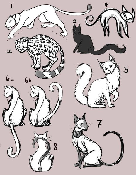 Позы котов для рисования