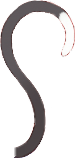 Кошачий хвост