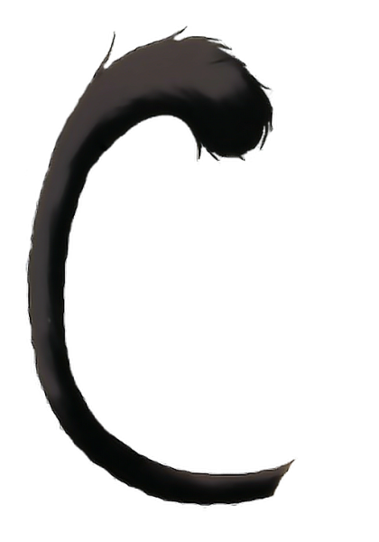 Кошачий хвост на белом фоне