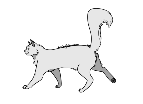 Лайн бегущего кота