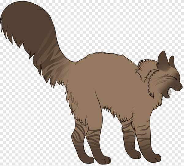 Рисунки кошачьих хвостов