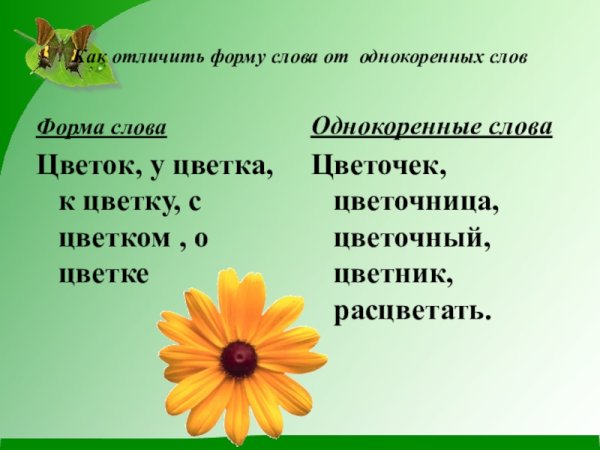 Однокоренные и формы слова