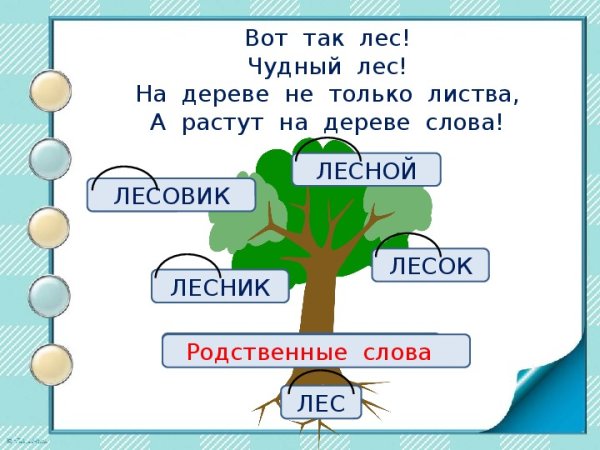 Дерево родственных слов
