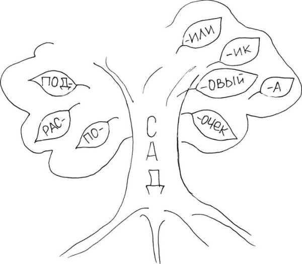 Дерево однокореннхлов