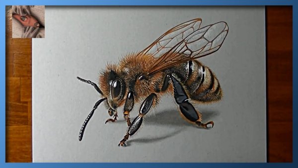 Медоносная пчела