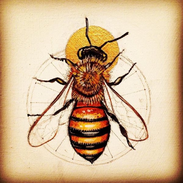 Пкела на прозрачном фоне