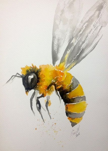 Шмель тату эскиз