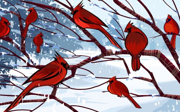 Зимние птицы обои