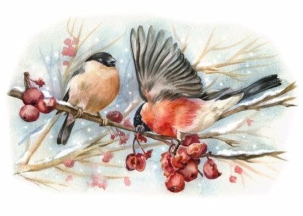 Маржолин Бастин картины Снегири