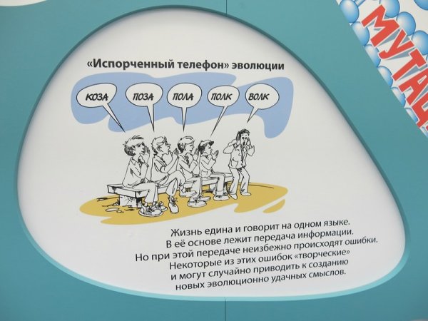 Задания для игры испорченный телефон