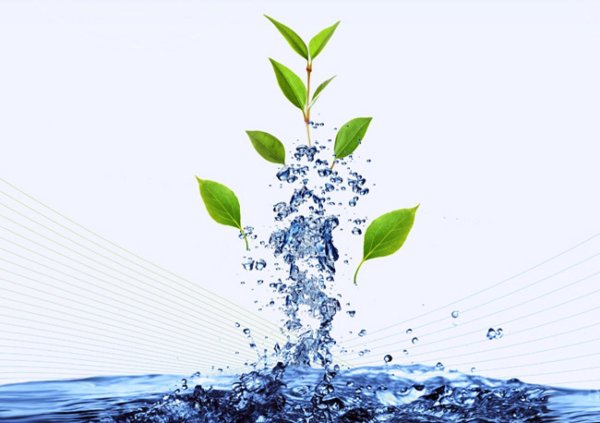 Рисунок на тему экология