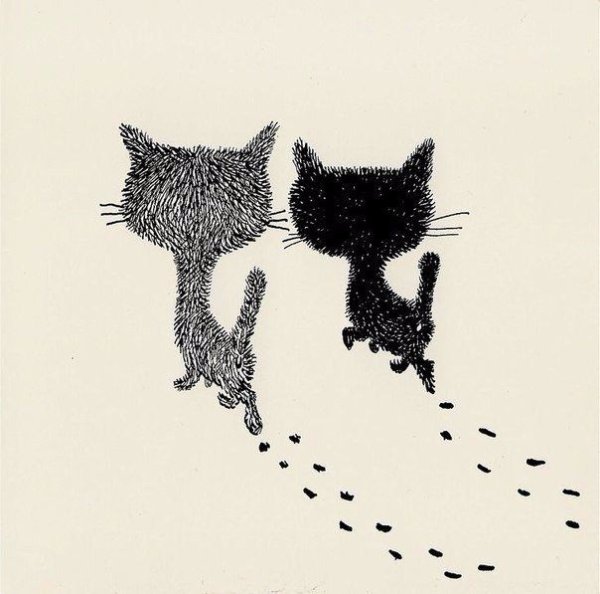 Два кота рисунок