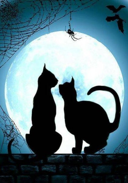 Силуэт кошки