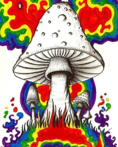 Хиппи грибы психоделики