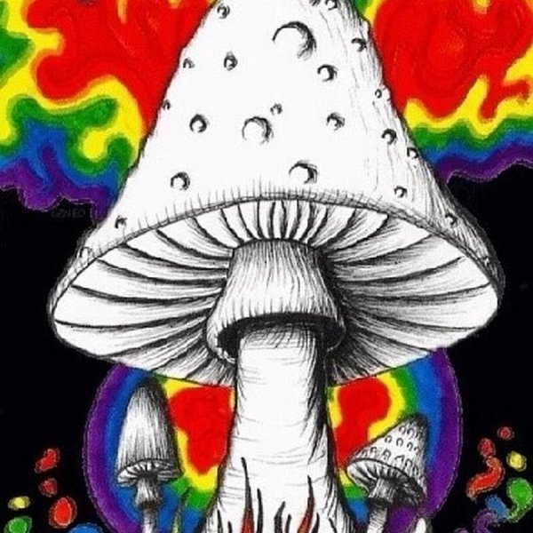 Хиппи грибы психоделики