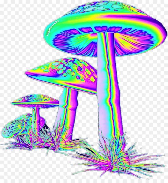 Грибы псилоцибин cartoon