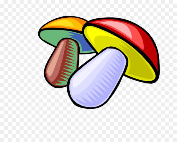 Радужный грибок