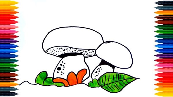 Гриб в паинте