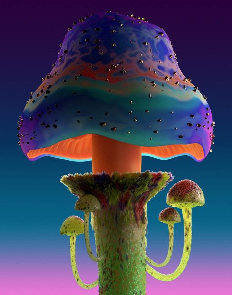 Наркоманские грибы