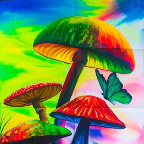 Грибы галлюциногенные психоделика