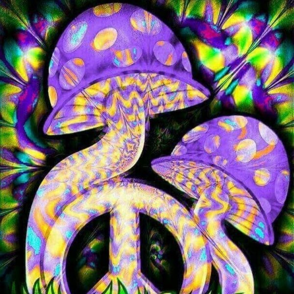 Хиппи грибы психоделики