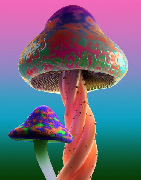 Трип грибы псилоцибы