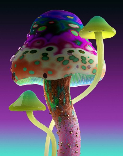 Псилоцибиновый гриб