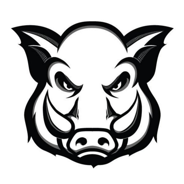 Кабан черно белый