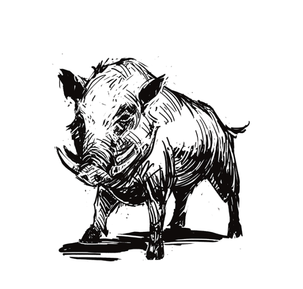 Арт мультяшный кабанчик