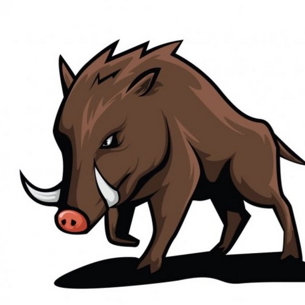 Дикий кабан