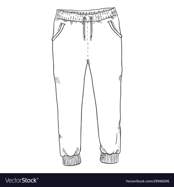 Спортивные брюки вектор