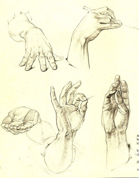 Готфрид Баммес руки