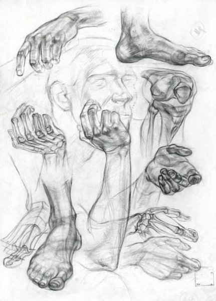 Академические зарисовки рук