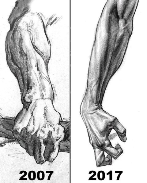 Мышцы кисти референс