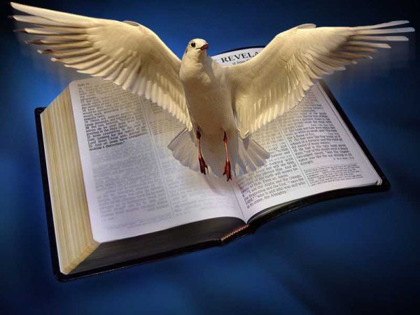 Книга с крыльями