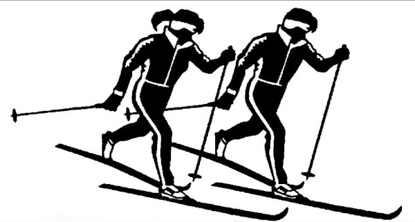 Беговые лыжи Biathlon