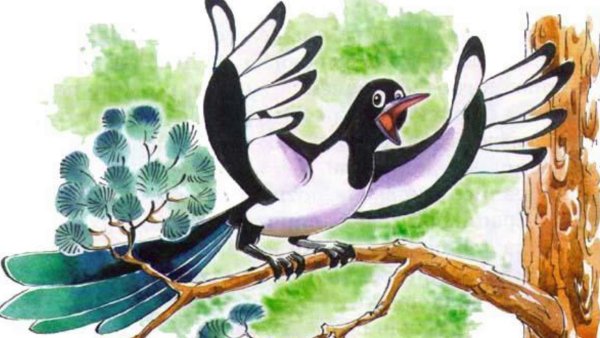 Сорока белобока мультяшная