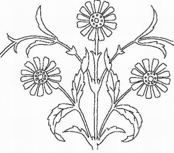 Вытынанка полевые цветы