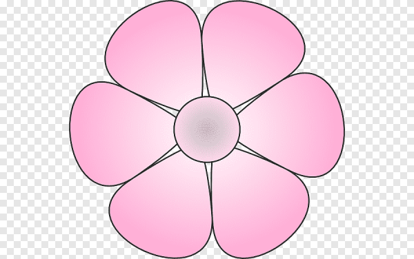 Ромашка с розовыми лепестками