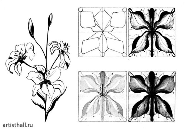 Трансформация растительных форм