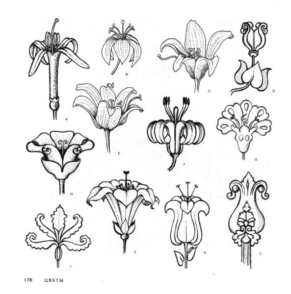 Стилизованные цветы