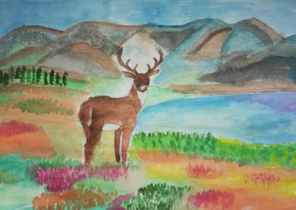 Природа тундры рисунок